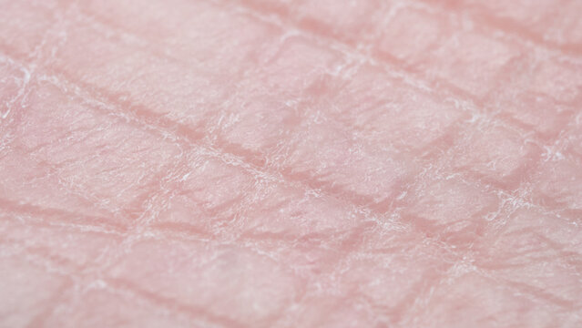 Macro photography of human skin. Close-up view of the skin on the side of the foot.