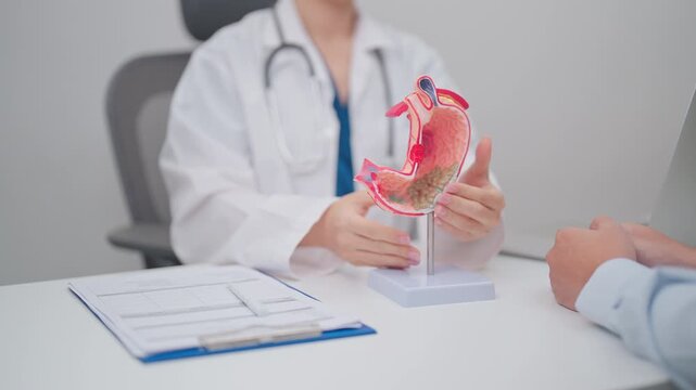 Doctor with Gastric anatomy model. Gastroenterologist consultation, stomach diseases and ulcers, November stomach cancer, Gastroesophageal Reflux Disease, GERD, Acid reflux and healthcare medical