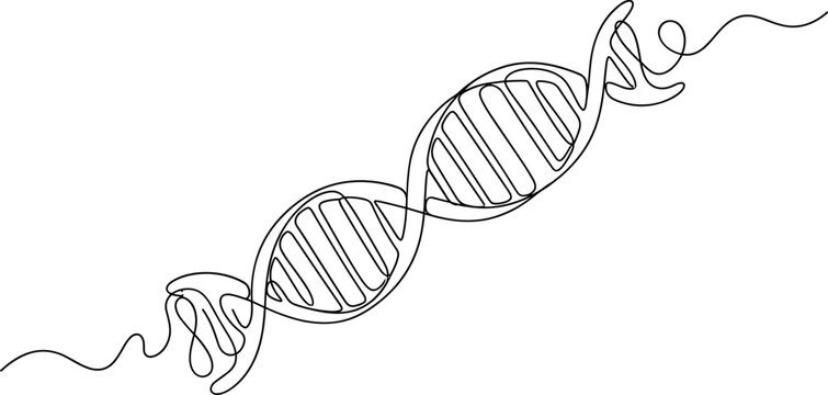 continuous line drawing of dna double helix structure.