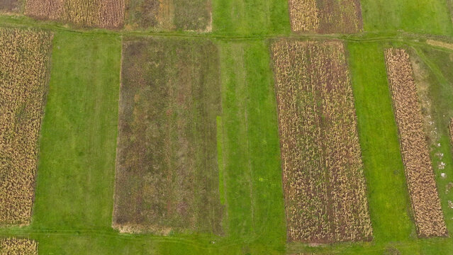 Aerial view of agricultural fields with alternating green and brown rectangular plots in the countryside of Dmanisi, Kvemo Kartli, Georgia.