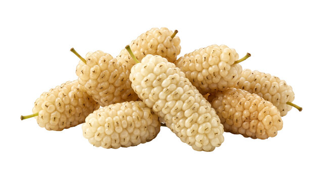 Organic white mulberry fruit, fresh ripe Morus alba berries, sweet seasonal harvest, nutritious raw white mulberries for healthy snacking isolated PNG with Transparent Background