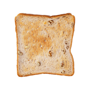 Single slice of toasted walnut bread isolated on transparent background