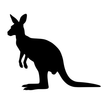 kangaroo vector icon standing upright in side view with long thick tail and small front arms, australian outback wildlife animal, minimalist solid black on white background