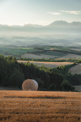 hay bales in the field © yuta.d32