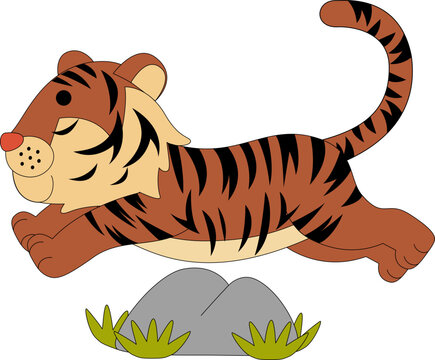 Cute Tiger Animal Vector Illustration