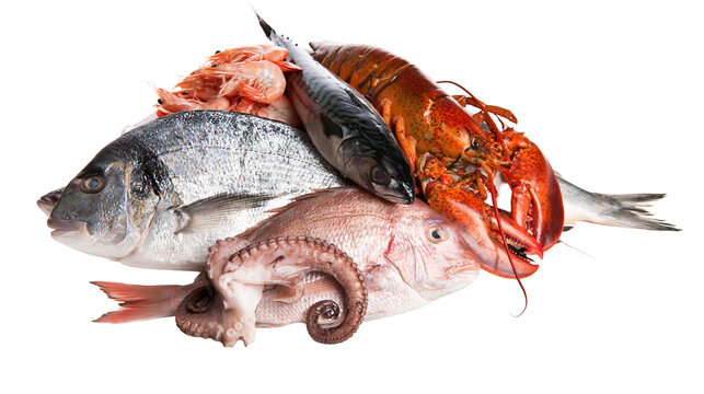 Fresh raw seafood assortment with lobster octopus shrimp, and whole fish
