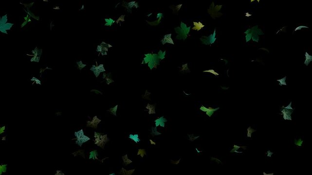 Gentle Falling Autumn Leaves on Transparent Background