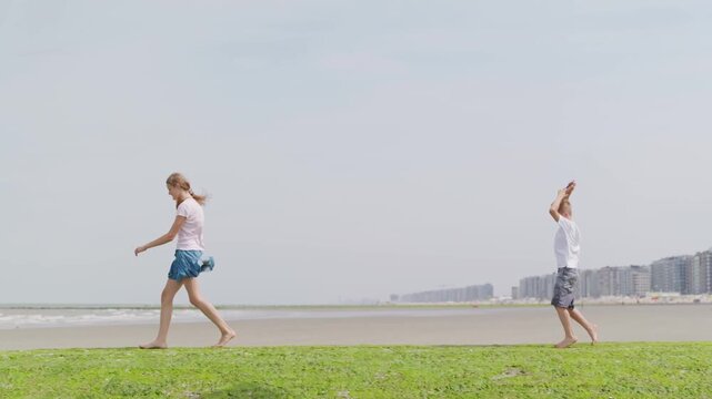 Children with kites are walking through the green seaweed long distance shot tilt up camera movement