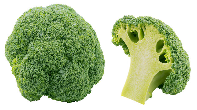 Fresh whole broccoli head and sliced cross section piece