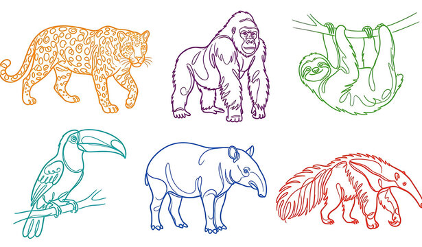 Set of six colorful line art animal illustrations including a tiger gorilla sloth toucan elephant and armadillo