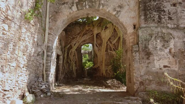 Historic stone archway surrounded by weathered masonry and massive tree roots growing through an abandoned structure at an old Mexican heritage site.