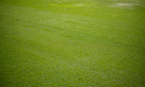 Beautiful golf course landscape featuring lush green fairway outdoor setting represents golf recreation  leisure nature and premium golf club facilities.