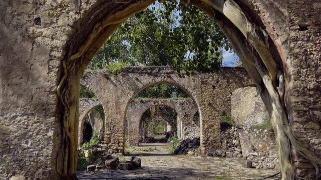 Historic stone arches with large tree roots growing through weathered ruins creating a dramatic passageway surrounded by masonry walls, stones and greenery in Mexico.