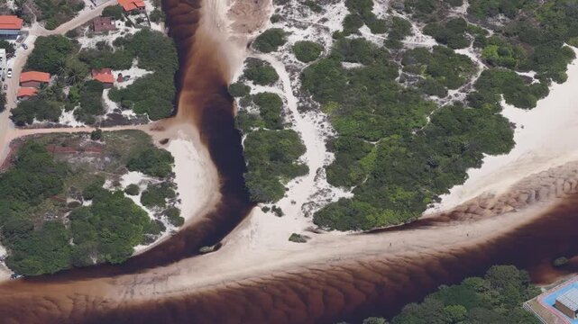 Aerial view of a dark water river meeting a sandy beach with surrounding vegetation.