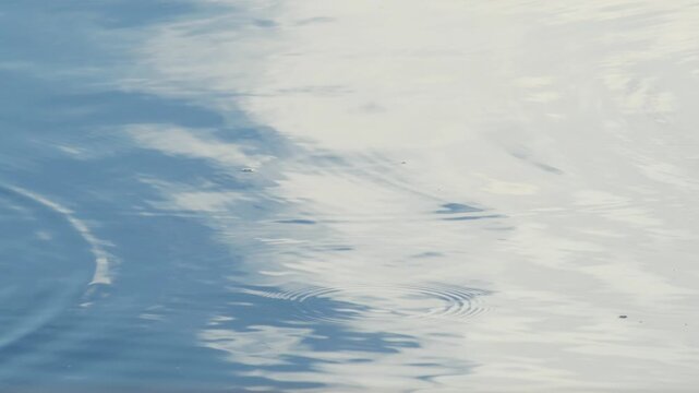 Concentric ripples spreading across vivid blue water with bright white cloud reflections, dynamic abstract water surface background