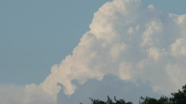 Towering white cumulus cloud against a bright turquoise blue sky above dark tree canopy silhouette, dramatic summer cloudscape