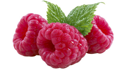 Fresh ripe red raspberries with green leaves and water droplets © Aisling