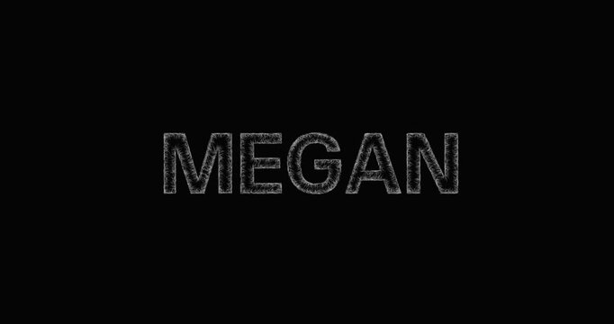 MEGAN - black and white sketch typographic text appearing with black background