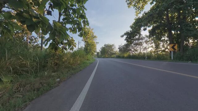 Winding asphalt road bordered by lush roadside vegetation and tall trees, with warm evening sunlight shining through the forest and casting shadows across the pavement.