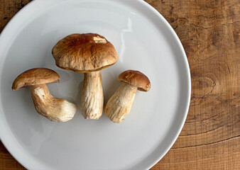 seta hongo boletus tres unidades limpios en un plato blanco sobre una mesa de madera país vasco IMG_9862-as26 © txakel