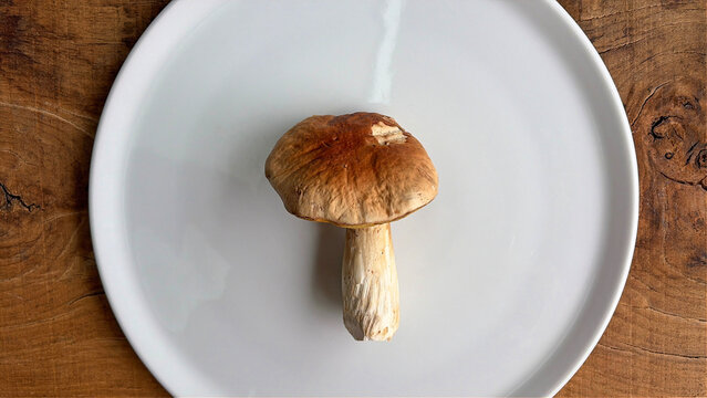 seta hongo boletus uno solitario aislado limpio en un plato blanco sobre una mesa de madera pa&iacute;s vasco IMG_9827-as26