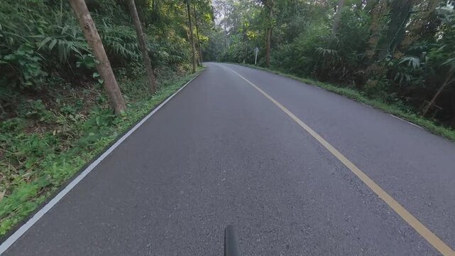 Cycling POV footage along a winding asphalt road through dense tropical forest, surrounded by tall trees, lush foliage and thick roadside vegetation in a peaceful natural setting.