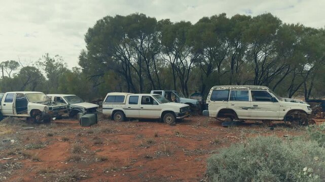 Row of abandoned stripped white utes and four wheel drives in an outback wrecking yard on red dirt among eucalyptus trees