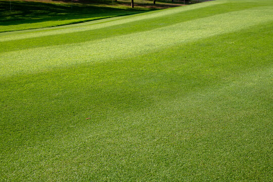 Beautiful golf course landscape featuring lush green fairway outdoor setting represents golf recreation  leisure nature and premium golf club facilities.