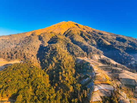 Aerial view of the peak of Mount Sumbing illuminated by golden hour light, featuring lush forests and terraced agricultural fields on the slopes in Kecamatan Kaliangkrik, Jawa Tengah, Indonesia.