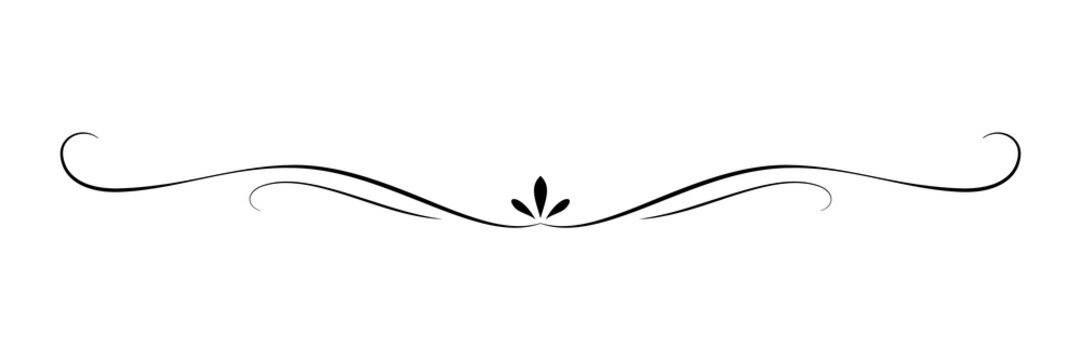 Elegant vintage text divider with floral center. Black calligraphic flourish line and scroll border. Decorative horizontal page separator PNG
