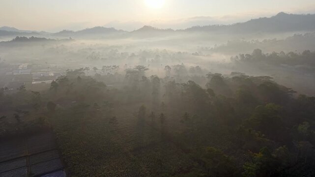 Aerial drone view of misty valley sunrise over forests, plantations and rolling hills in Pronojiwo Indonesia.