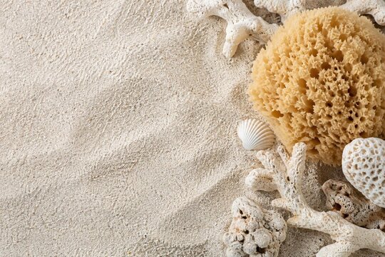White coral pieces, natural sea sponge, scallop shell on soft white beach sand, marine flat lay with copy space