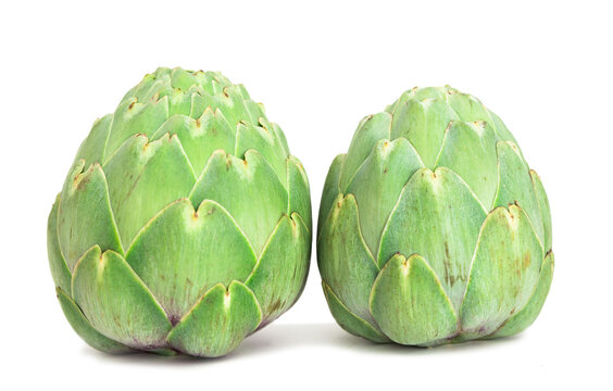 two ripe artichokes on white background