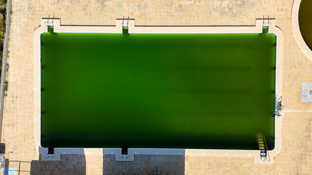 Aerial view of a rectangular swimming pool filled with green stagnant water, surrounded by light-colored stone paving in Murla, Valencian Community, Spain.