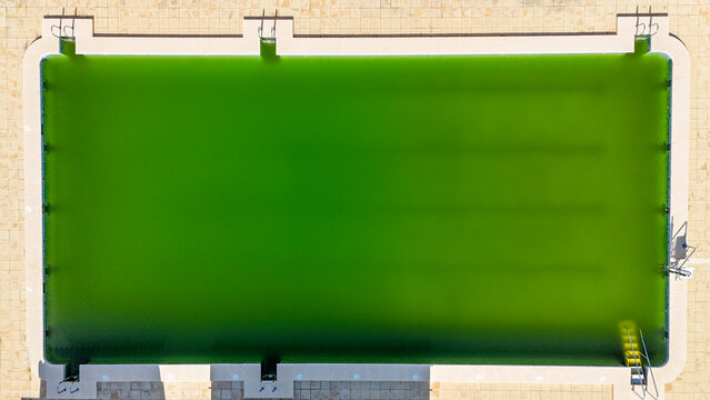 Aerial view of a rectangular swimming pool with vibrant green algae-filled water, surrounded by a light-colored paved deck in Murla, Valencian Community, Spain.