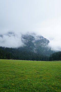 Misty Mountain and Green Meadow Landscape in Yunnan, China