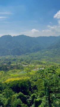 mountain landscape with trees in Indonesia 