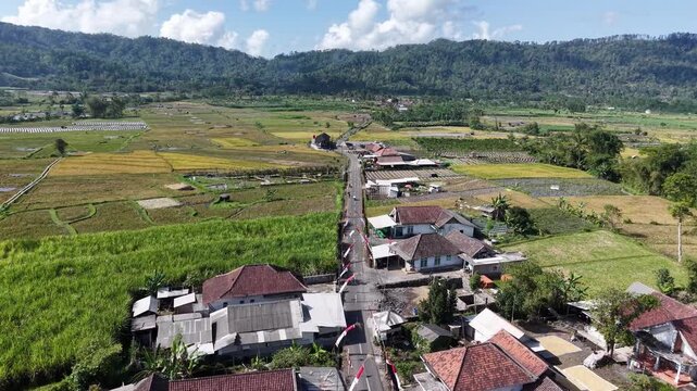 Drone POV over tropical rice paddies, village roads, mountain backdrop at Pronojiwo, East Java, Indonesia