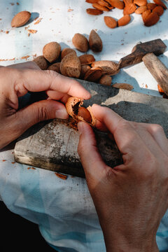 man extracting an almond from its broken shell