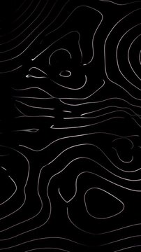 Thin contour lines slowly morph across a dark abstract background. Technology presentation, website hero design, and title sequence.