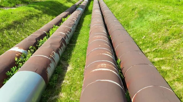 Aerial view of industrial pipes for gas, water, and oil running parallel across a green landscape, showcasing their weathered surfaces and surrounding vegetation in a natural setting
