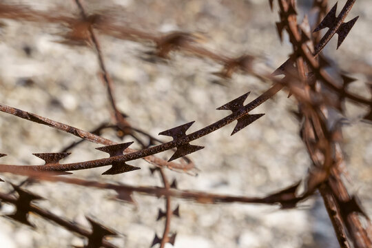 Rusty barbed wire with sharp spikes in close-up, tangled across a blurred gray textured background, a concept for security, border, restriction, confinement and danger, with copy space