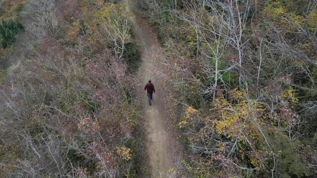 Aerial view of man walking along dirt path through late autumn forest top down