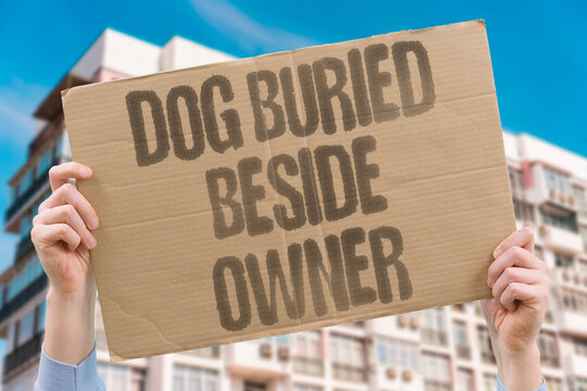 "Dog buried beside owner" Loyal pets share human graves. DOG. BURIAL. OWNER. GRAVE. LOYALTY.