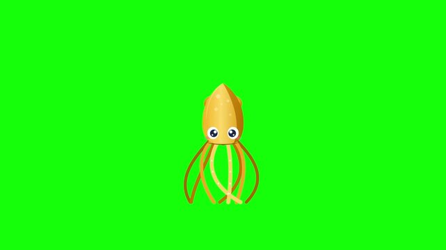 Cute cartoon squid swimming on green screen background