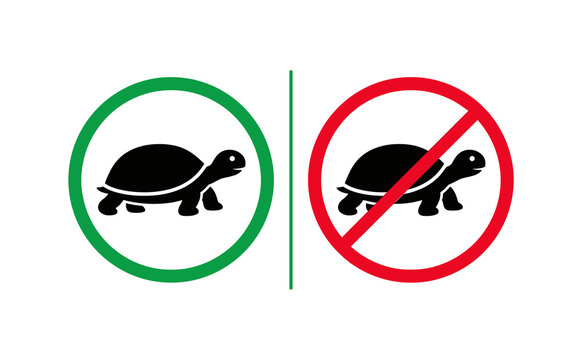 Minimalist turtle icon comparison with green allowance and red prohibition symbols