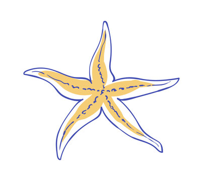 Vintage starfish ink line illustration with watercolor blue line. Coastal summer sea and beach marine element for italian travel. Icon style on isolated background.