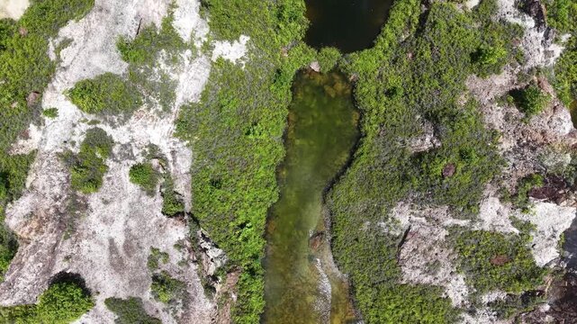 Aerial view captures a deep, dark pool surrounded by greenery. Lush vegetation contrasts with rocky