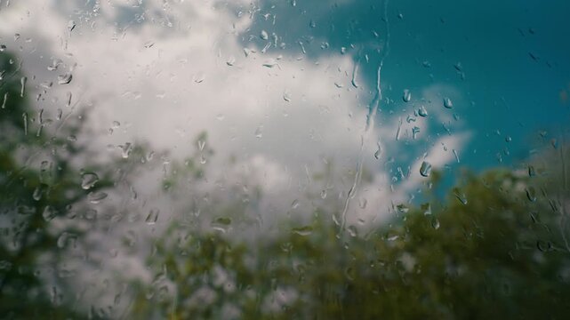 Close-up of water drops running down glass with blurred forest backdrop
