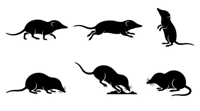 Set of Six Silhouette Shrews in Various Poses